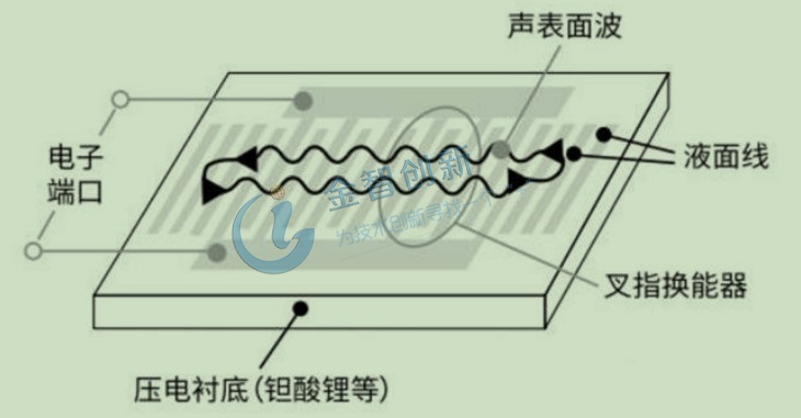 SAW結構示意圖