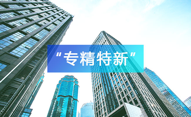 專精特新中小企業(yè)